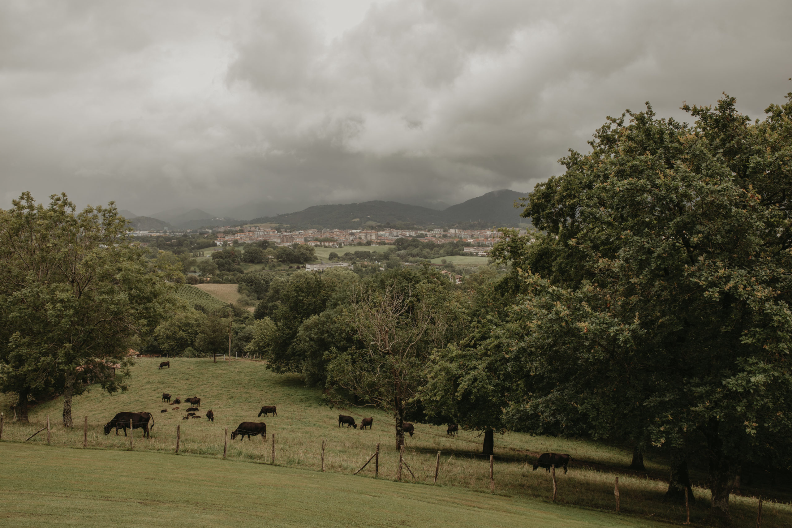 Vistas al monte desde una finca para celebrar bodas en Hondarribia